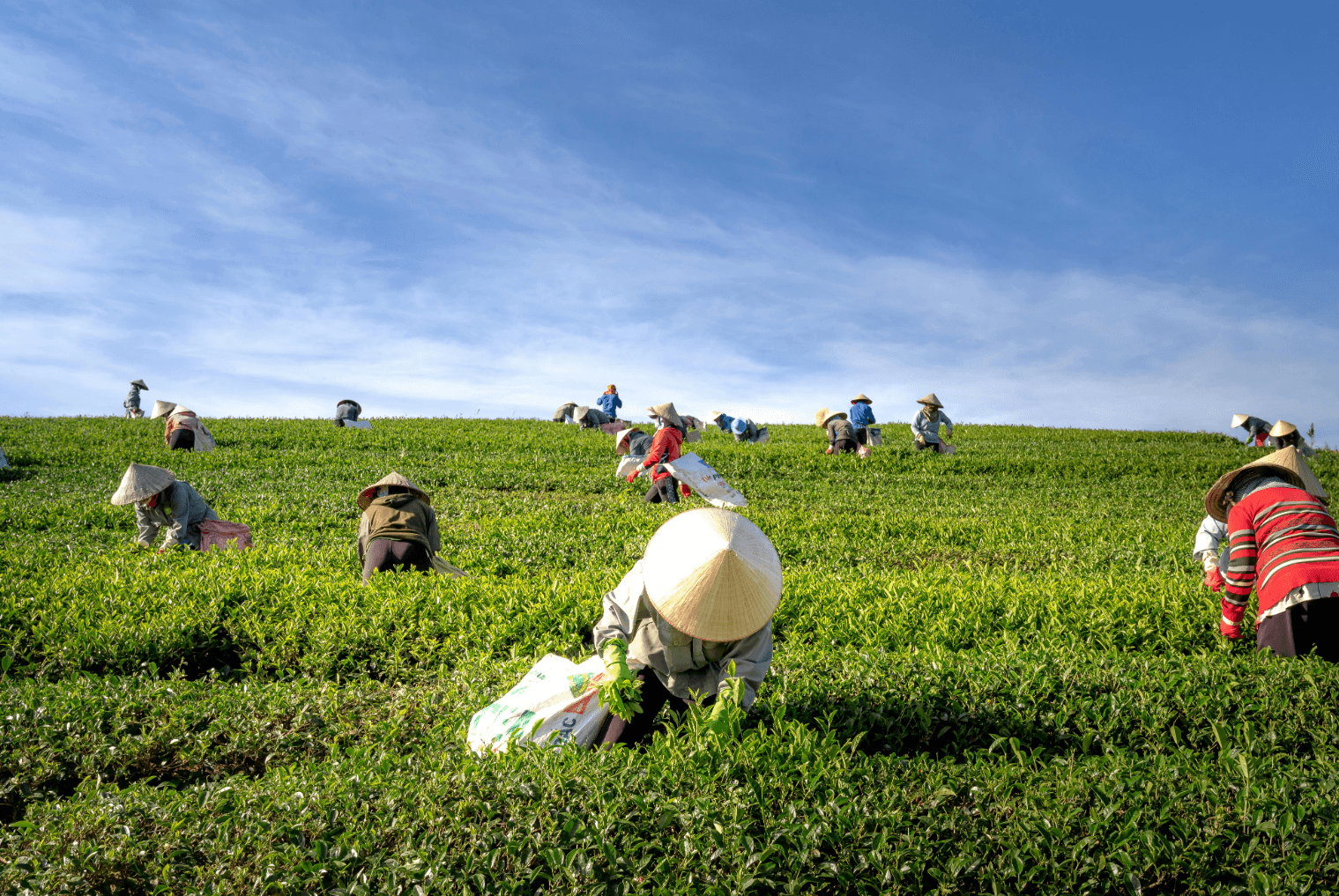 From Idea to Impact: How SRAAS Won Hearts at the MSME Ideathon